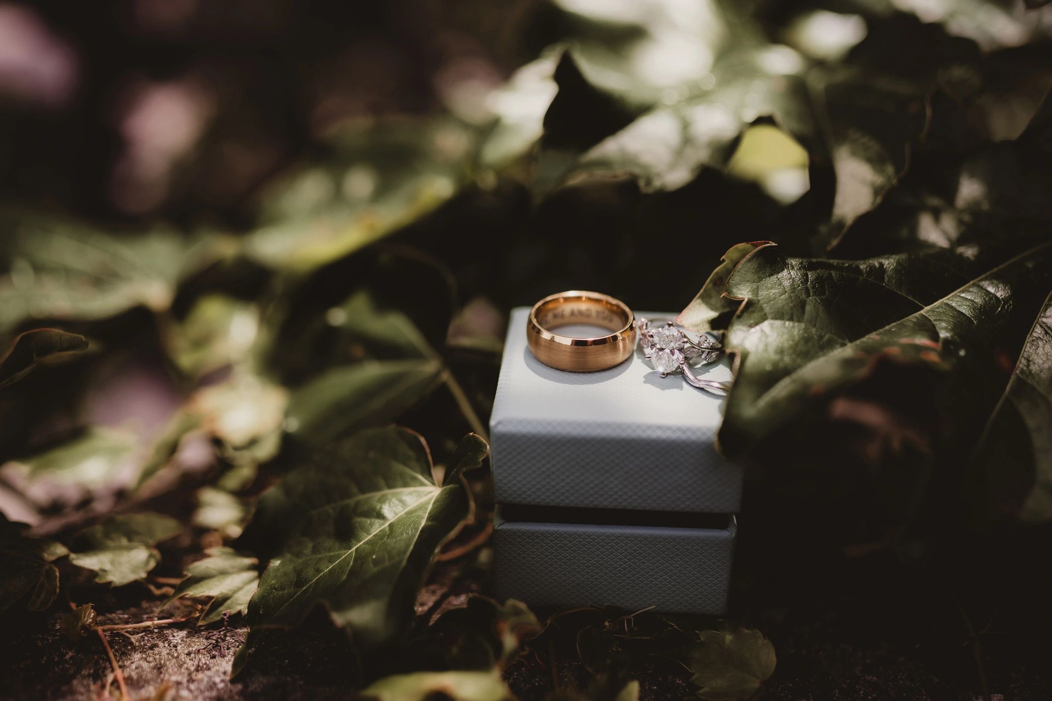 Wedding rings on a jewelry box with greenery in the background